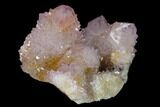 Cactus Quartz (Amethyst) Crystal Cluster - South Africa #137787-1